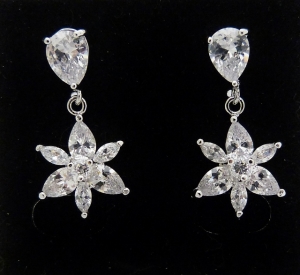 Earrings ER-CZ1011